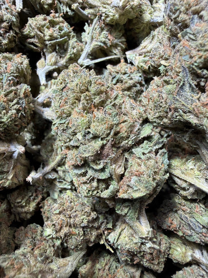 1 Pound - Jokers Runtz THCA Strain Frisco Labs