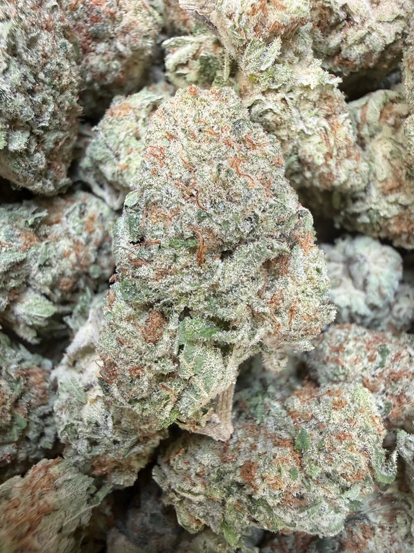1 Pound -  Jungle Juice THCA Flower