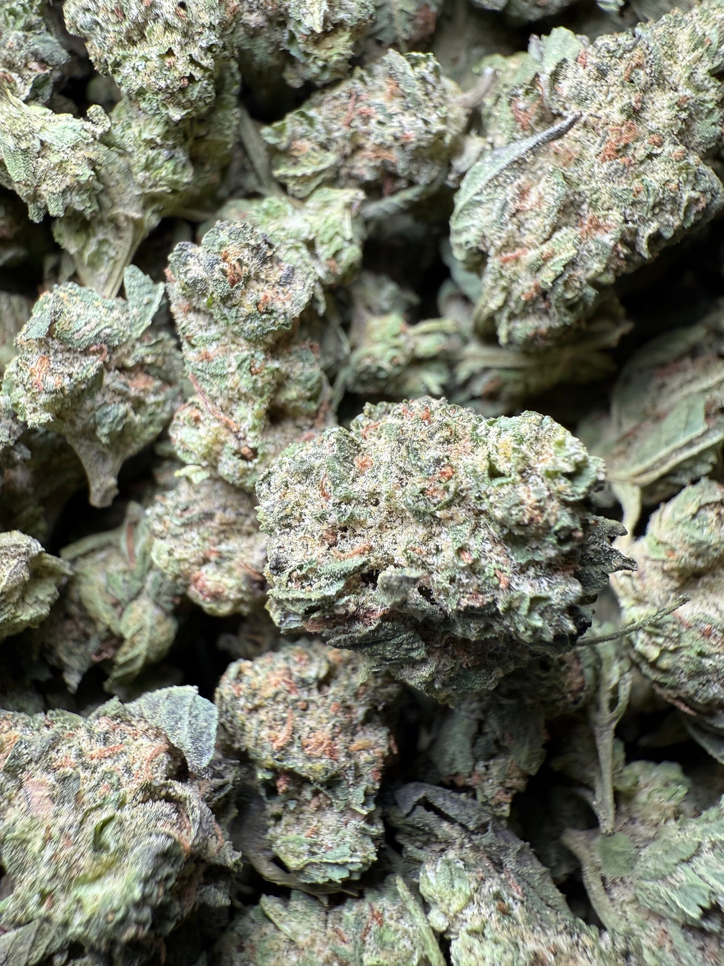 1 Pound - King Bling THCA Strain (Small) Frisco Labs