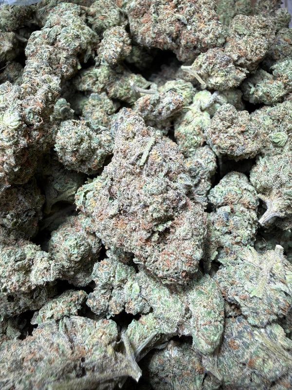 1 Pound - King Bling THCA Flower