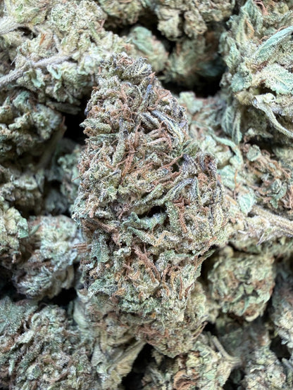 1 Pound -  King Kong THCA Strain Frisco Labs