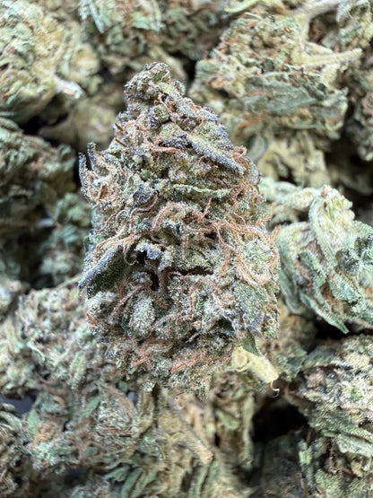 1 Pound -  King Kong THCA Strain Frisco Labs