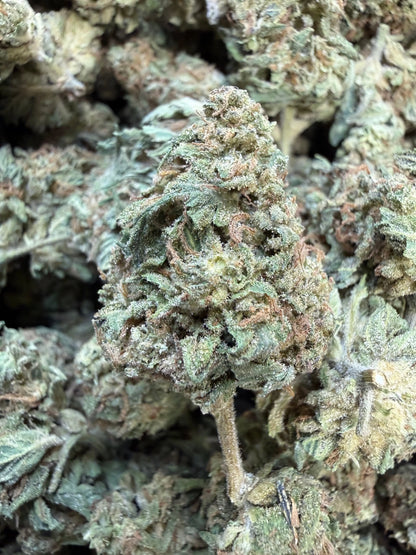 1 Pound -  King Kong THCA Strain Frisco Labs