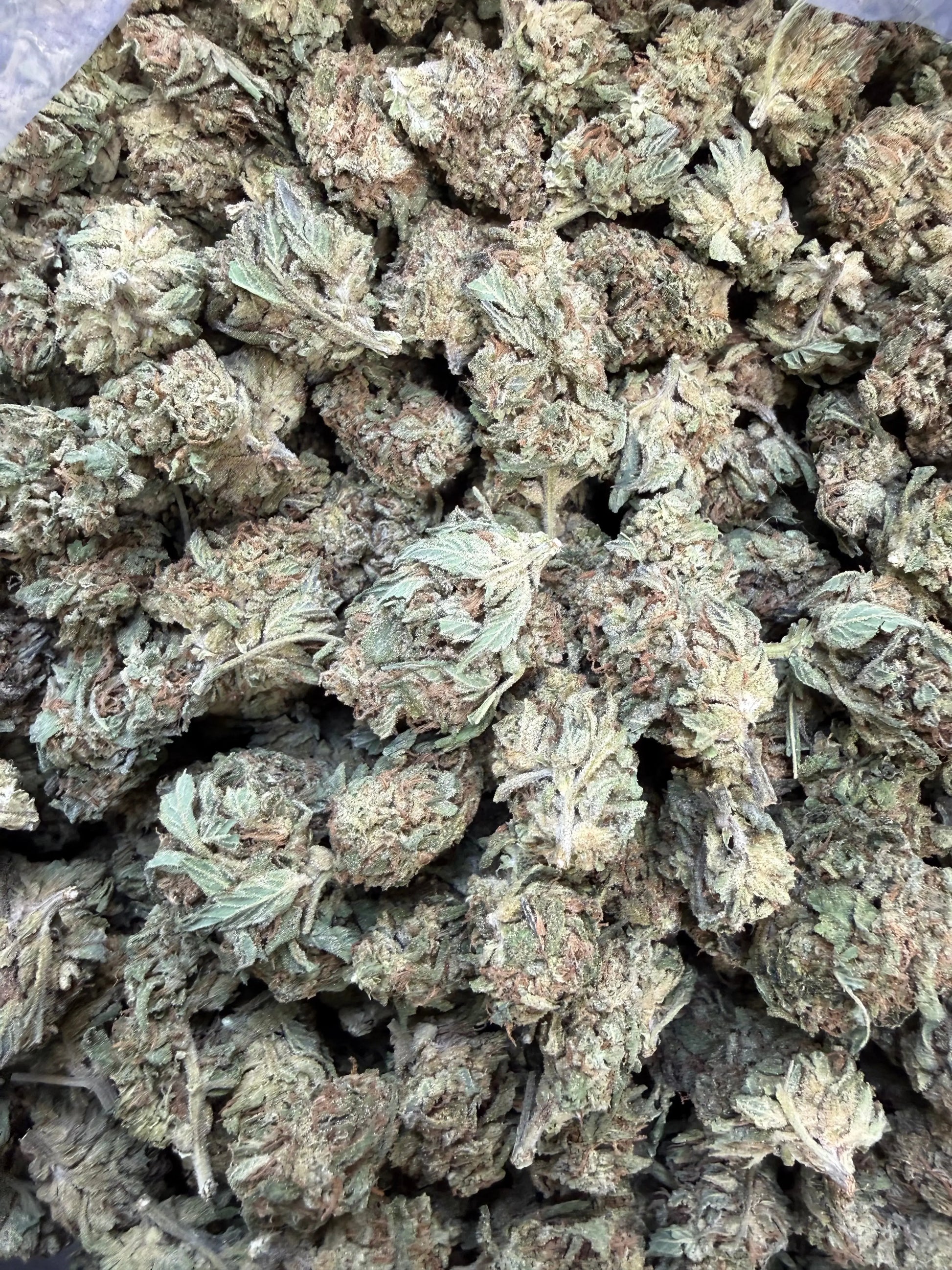 1 Pound -  King Kong THCA Strain Frisco Labs