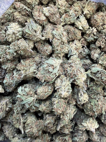 1 Pound -  King Kong THCA Strain Frisco Labs