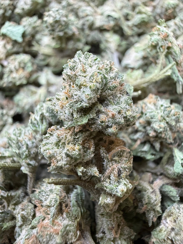 1 Pound - Kings Blend #17 THCA Strain (Small)