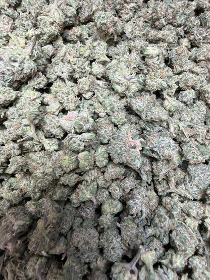 1 Pound - Kings Blend #17 THCA Strain (Small) Frisco Labs