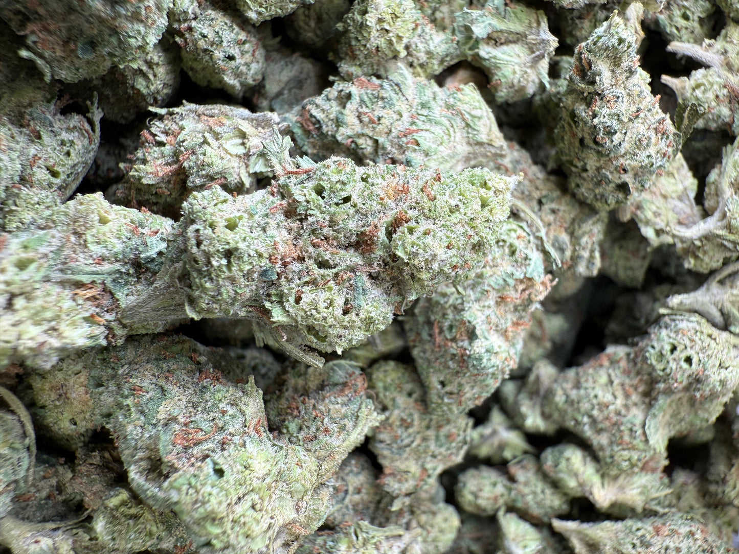 1 Pound - LA Confidential THCA Strain (Small) Frisco Labs