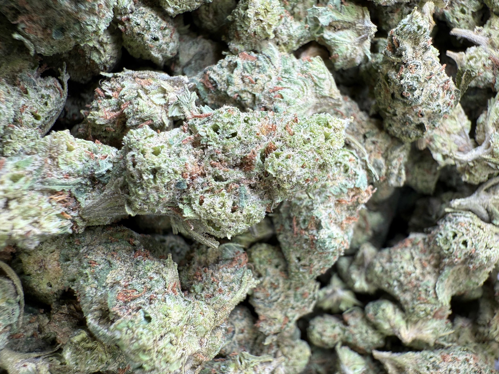 1 Pound - LA Confidential THCA Strain (Small) Frisco Labs