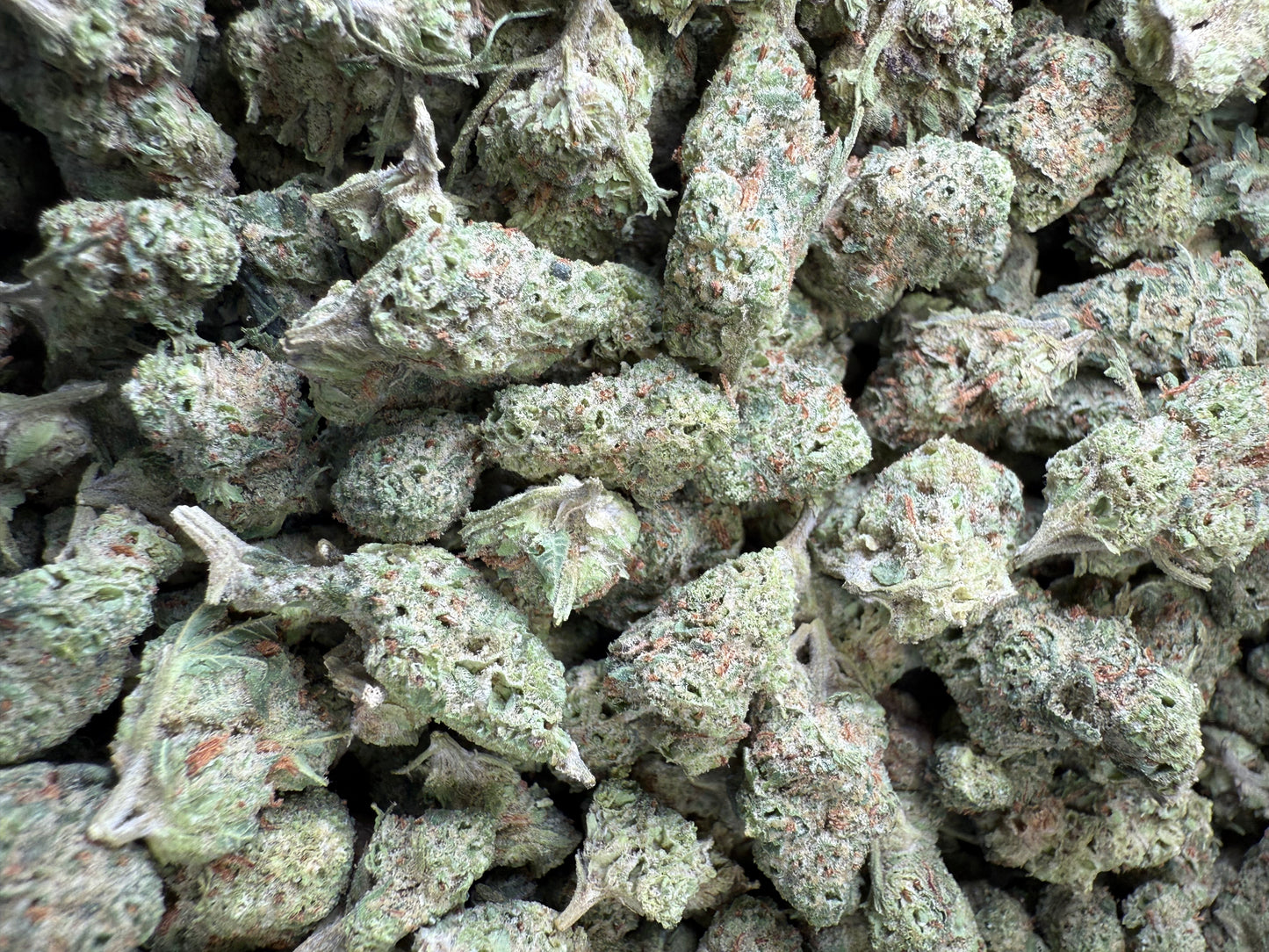 1 Pound - LA Confidential THCA Strain (Small) Frisco Labs