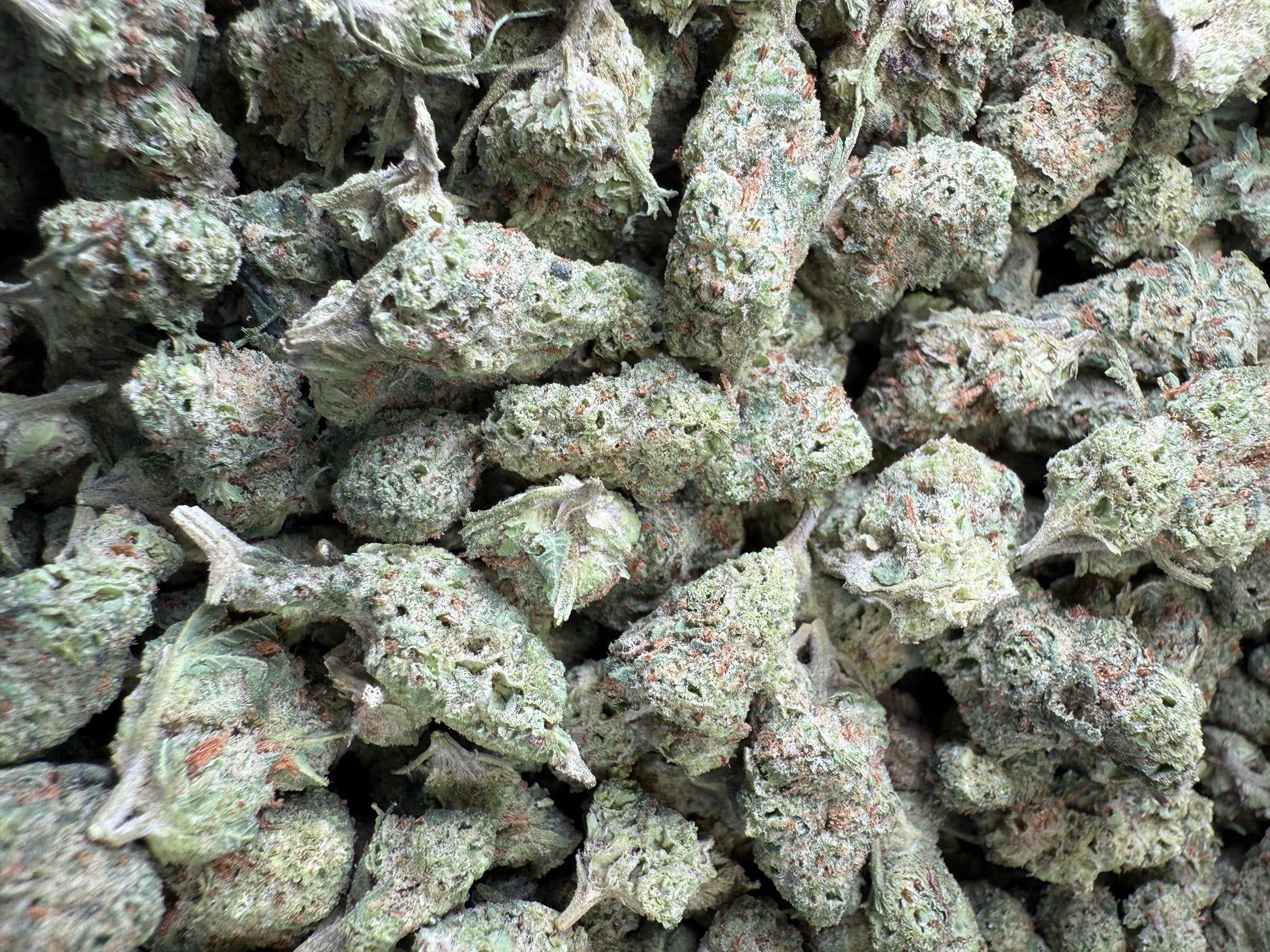 1 Pound - LA Confidential THCA Strain (Small) Frisco Labs