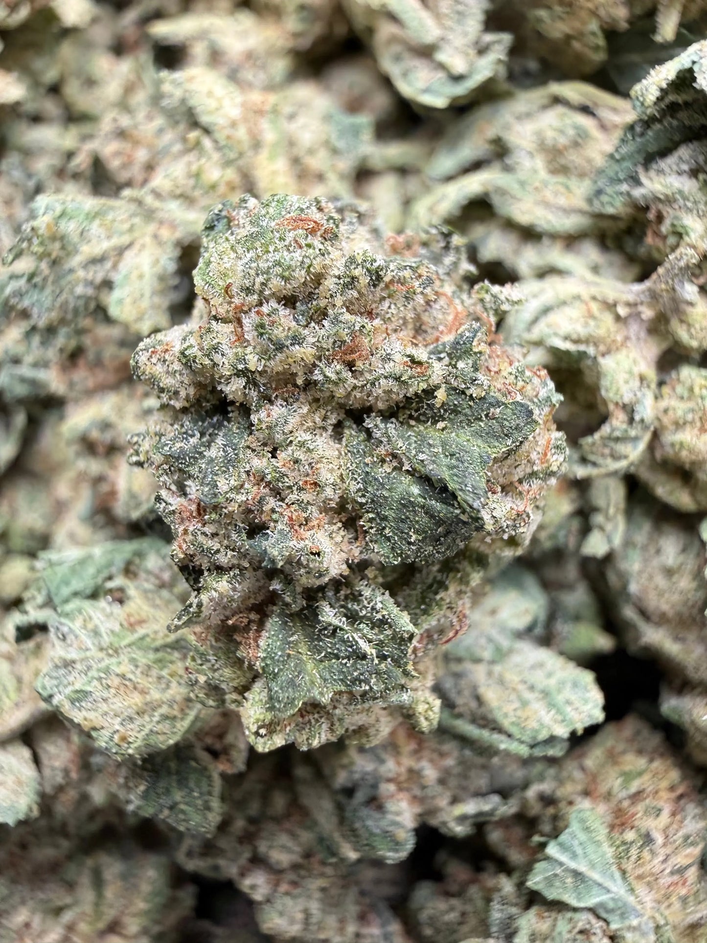 1 Pound - LA Push Pops THCA Strain (Smalls) Frisco Labs