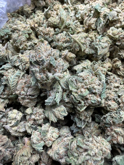 1 Pound - LA Push Pops THCA Strain (Smalls) Frisco Labs