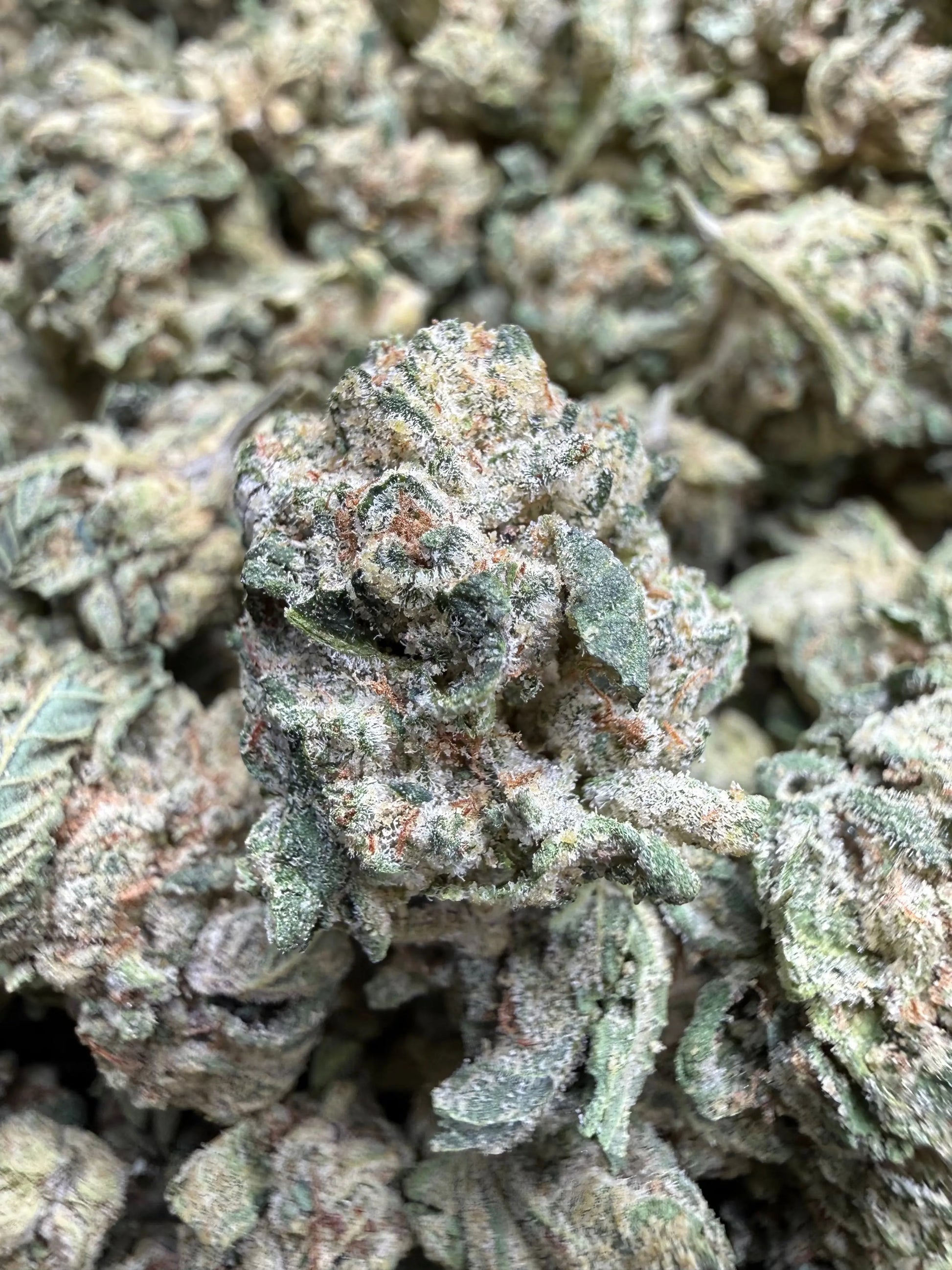 1 Pound - LA Push Pops THCA Strain (Smalls) Frisco Labs