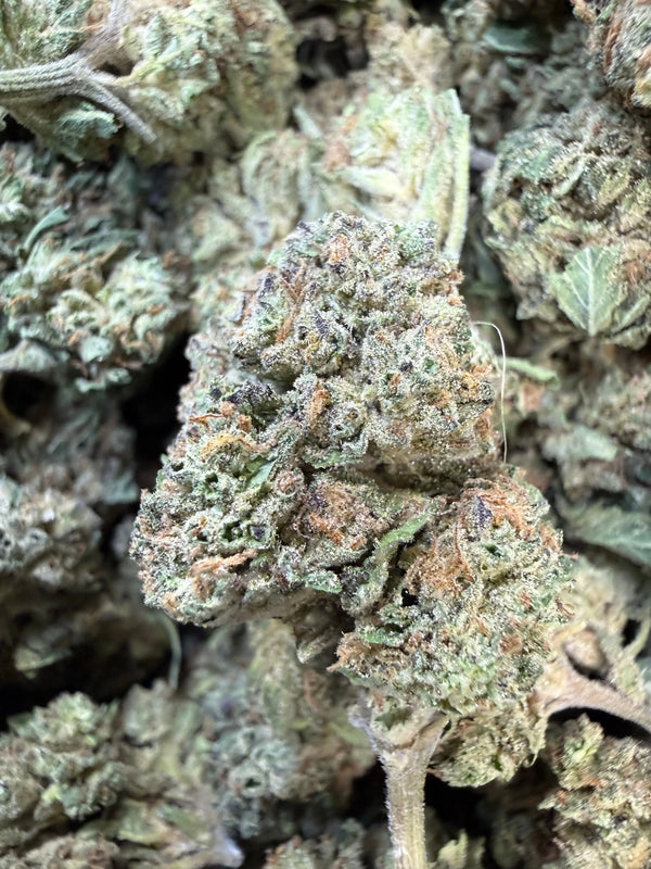 1 Pound - LA Kush Cake THCA Flower
