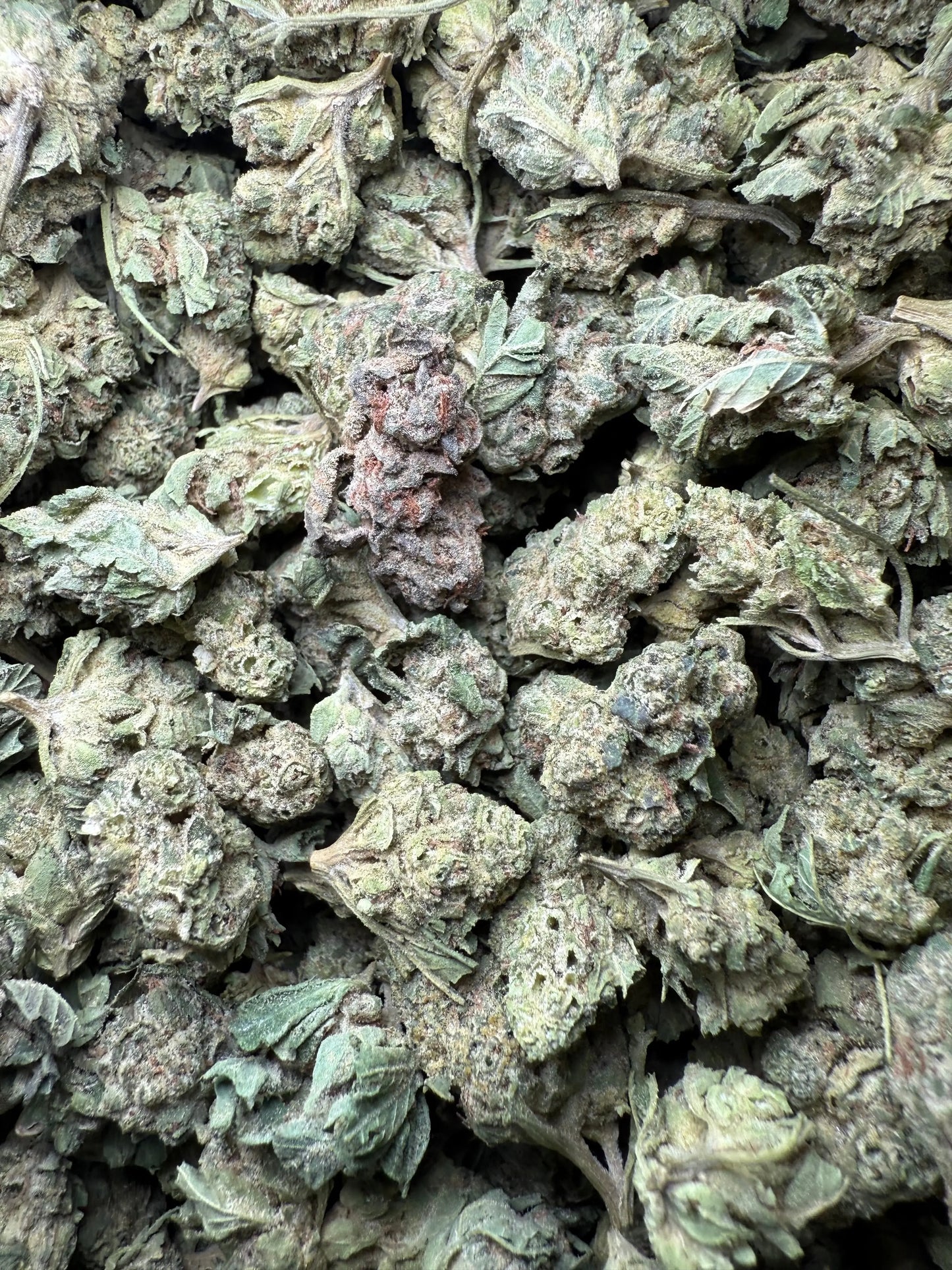 1 Pound - Legend OG THCA Strain (Smalls) Frisco Labs