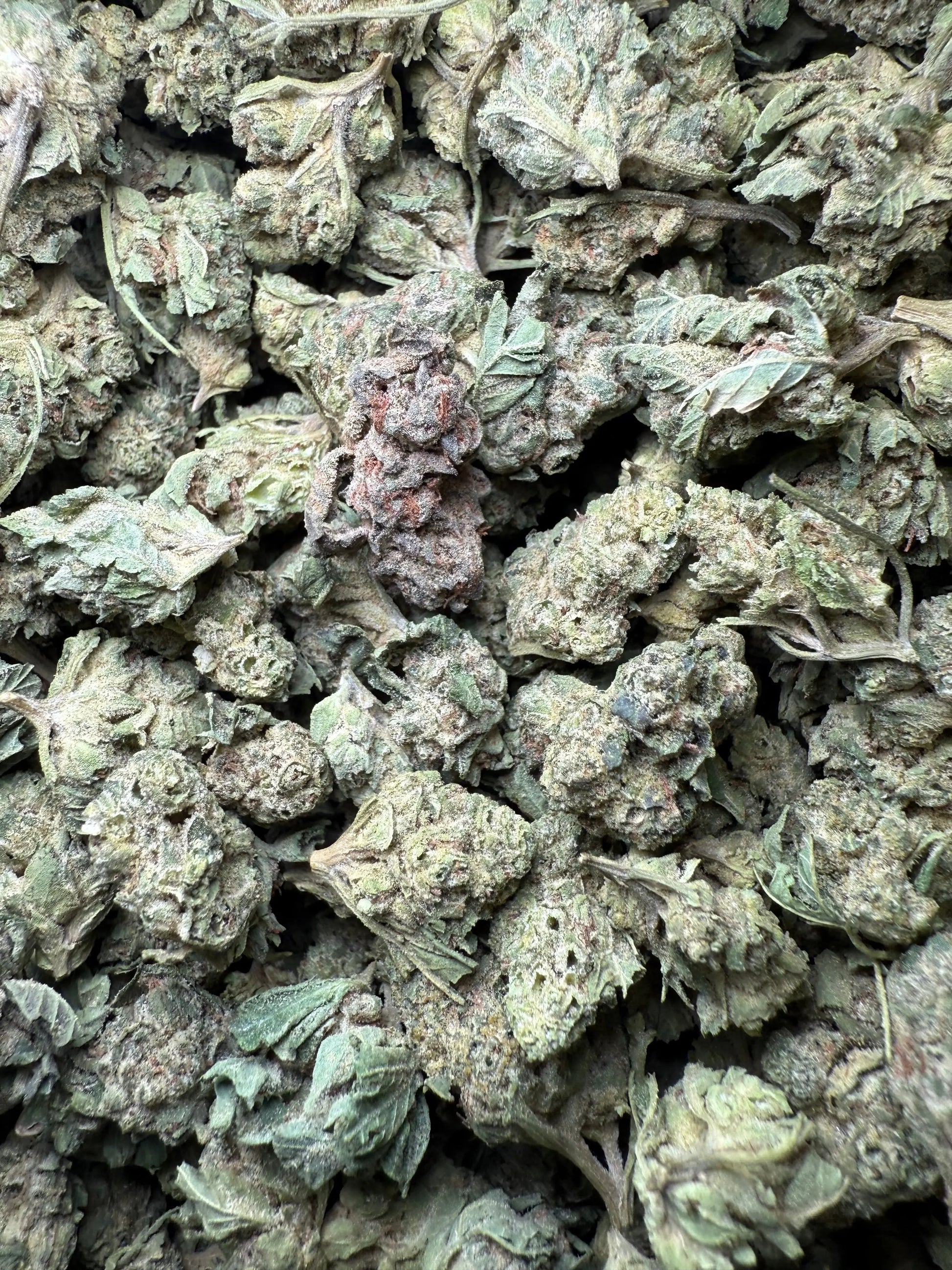 1 Pound - Legend OG THCA Strain (Smalls) Frisco Labs