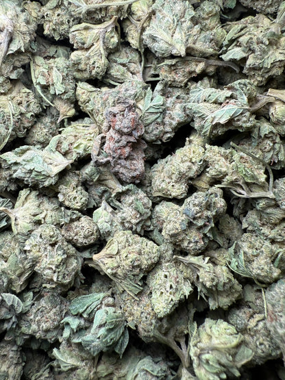 1 Pound - Legend OG THCA Strain (Smalls) Frisco Labs