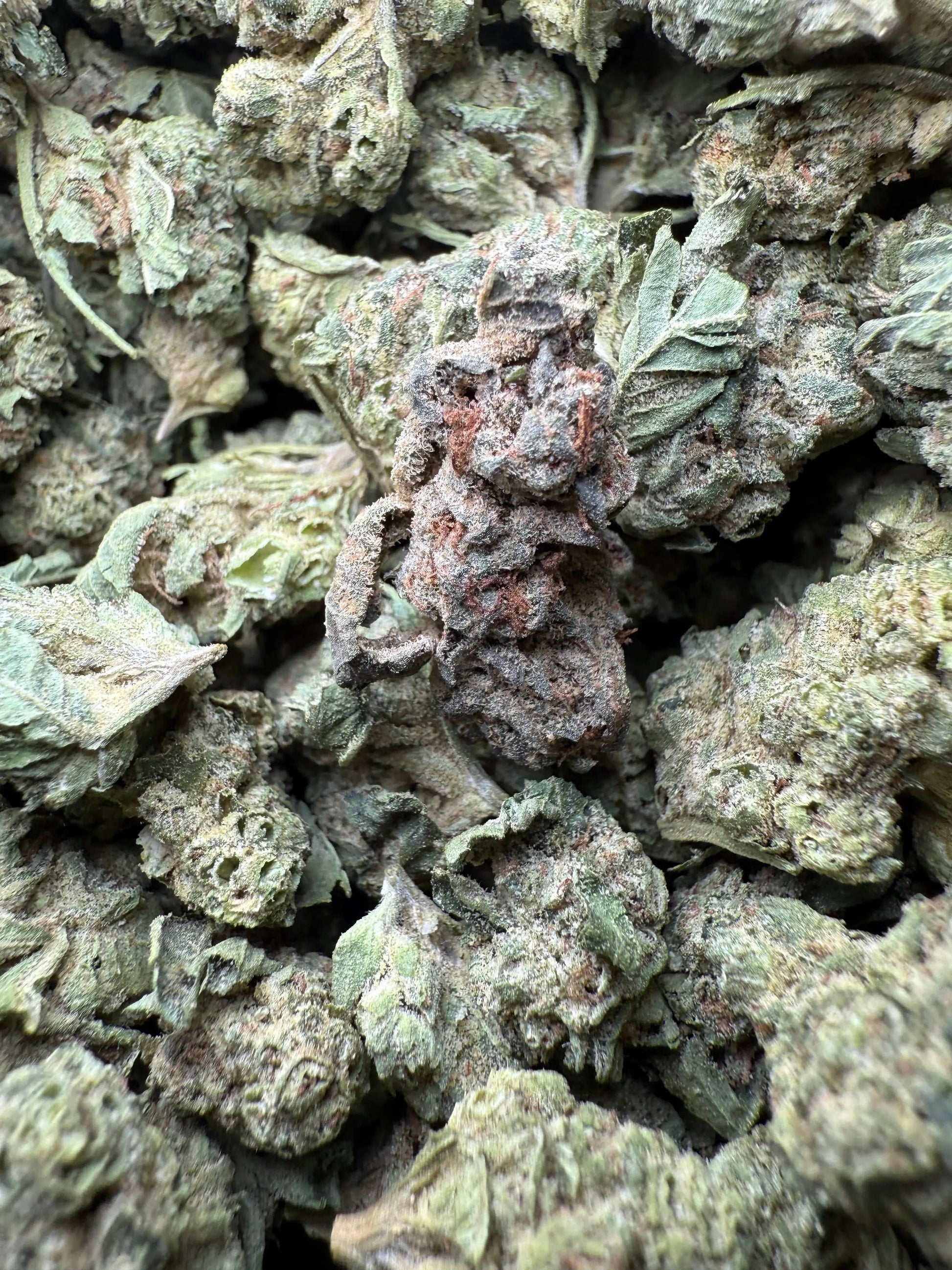 1 Pound - Legend OG THCA Strain (Smalls) Frisco Labs