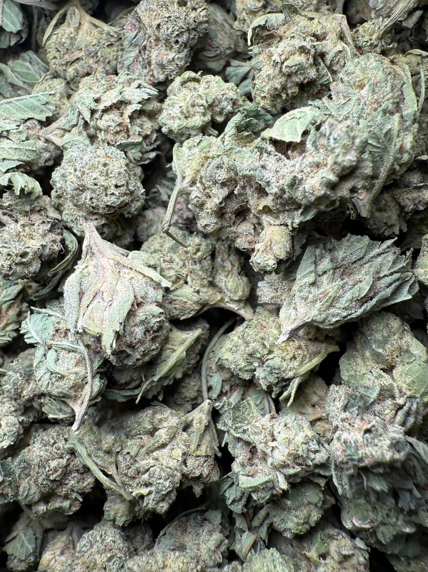 1 Pound - Legend OG THCA Strain (Smalls) Frisco Labs