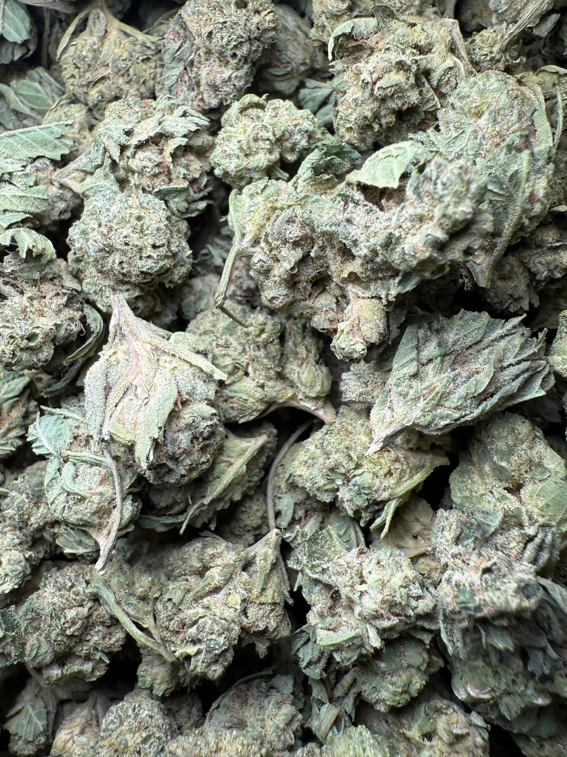 1 Pound - Legend OG THCA Strain (Smalls) Frisco Labs