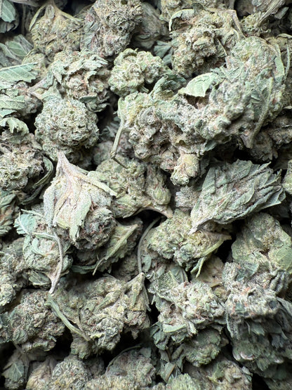 1 Pound - Legend OG THCA Strain (Smalls) Frisco Labs