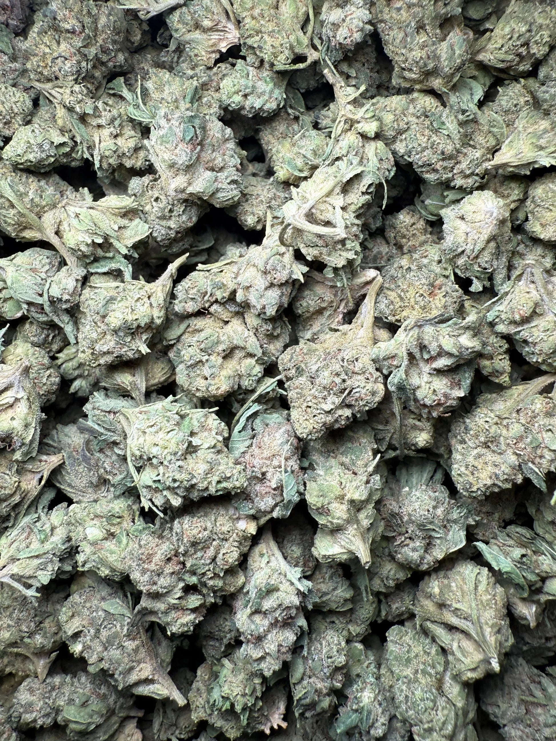 1 Pound - Legend OG THCA Strain (Smalls) Frisco Labs
