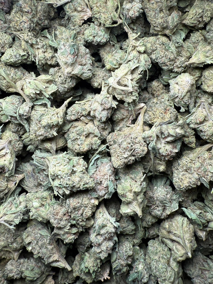 1 Pound - Legend OG THCA Strain (Smalls) Frisco Labs