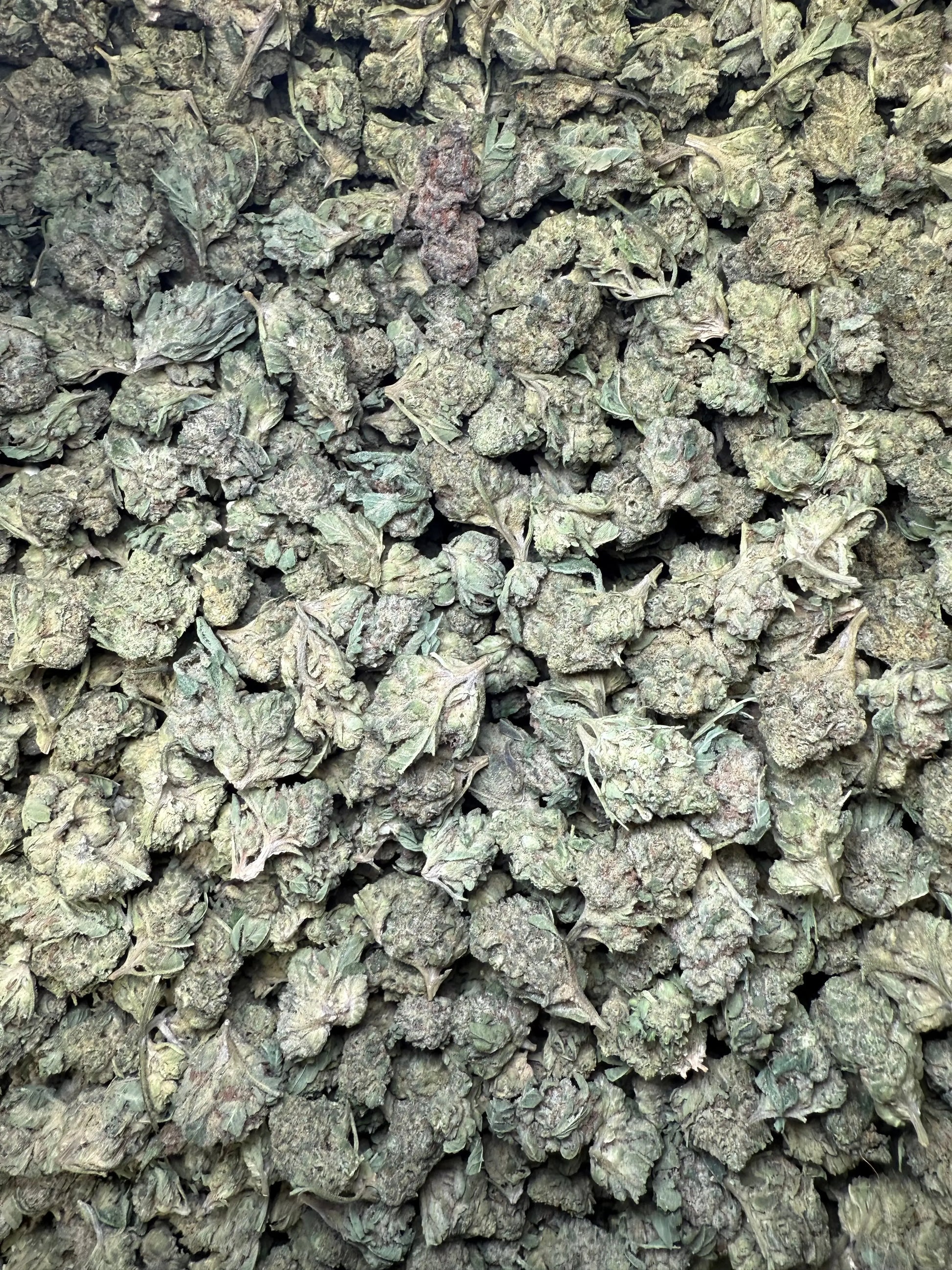 1 Pound - Legend OG THCA Strain (Smalls) Frisco Labs
