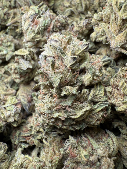 1 Pound - Lemon Cherry Gelato X Wedding Cake THCA Frisco Labs