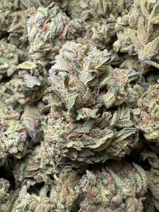 1 Pound - Lemon Cherry Gelato X Wedding Cake THCA Frisco Labs