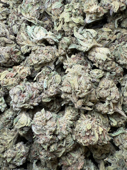 1 Pound - Lemon Cherry Gelato X Wedding Cake THCA Frisco Labs