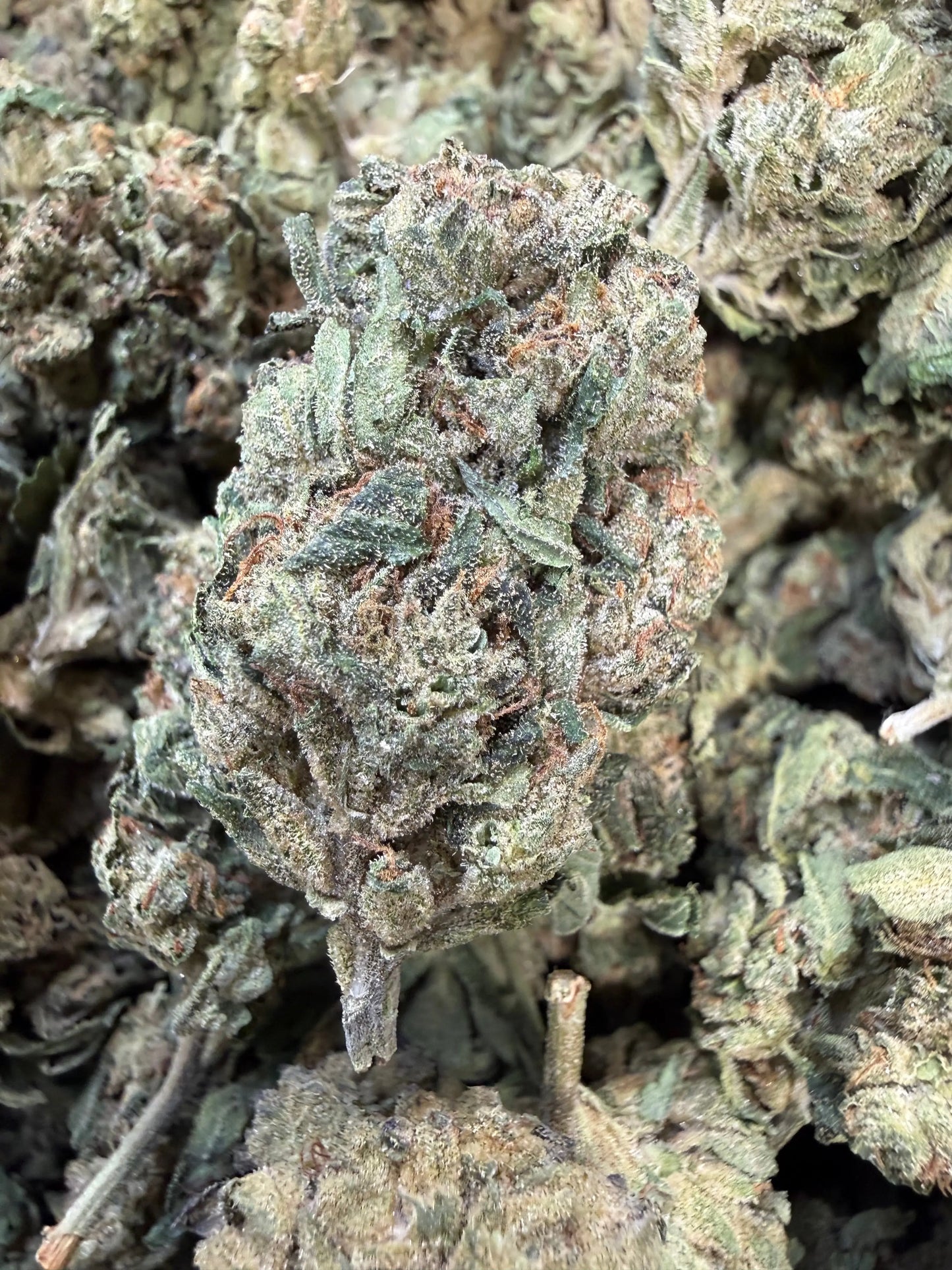 1 Pound Lemon Curd THCA FL Fulfillment Center