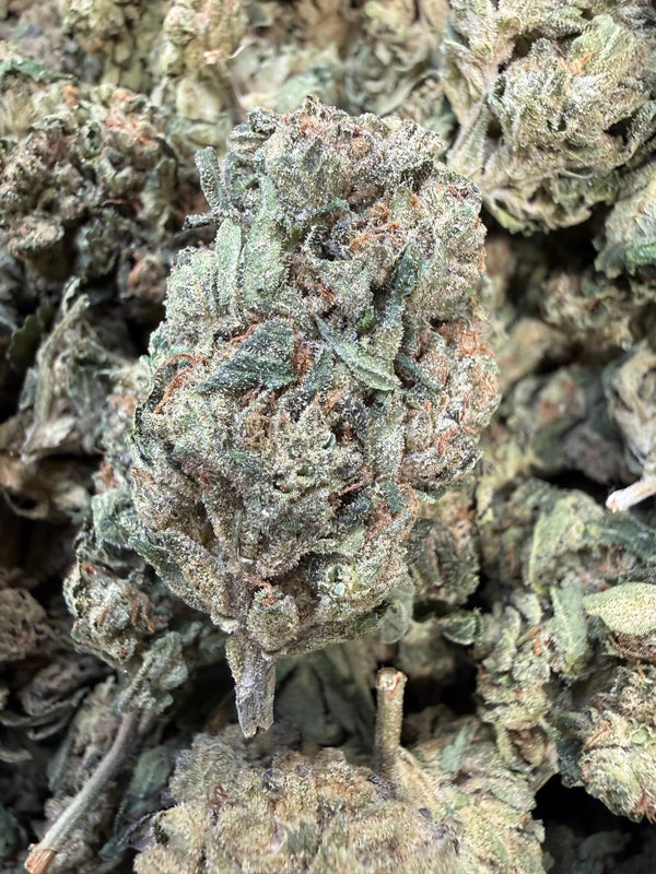 1 Pound Lemon Curd THCA Flower