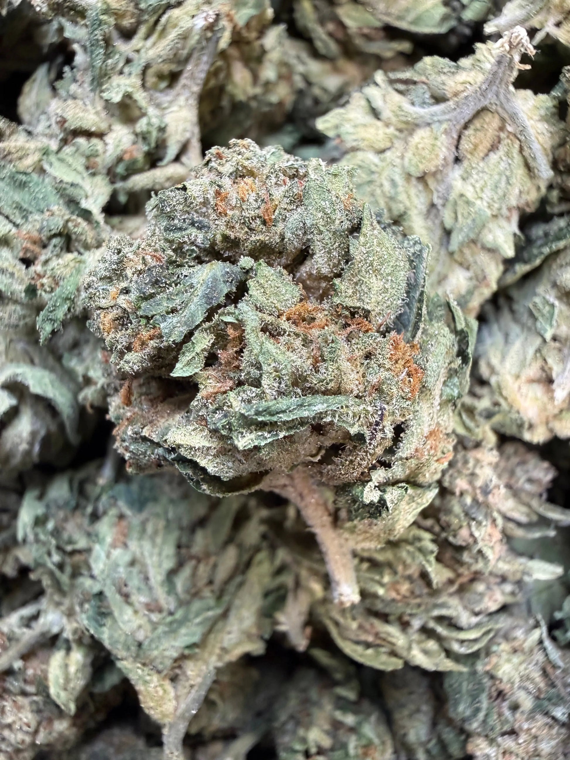 1 Pound Lemon Curd THCA FL Fulfillment Center