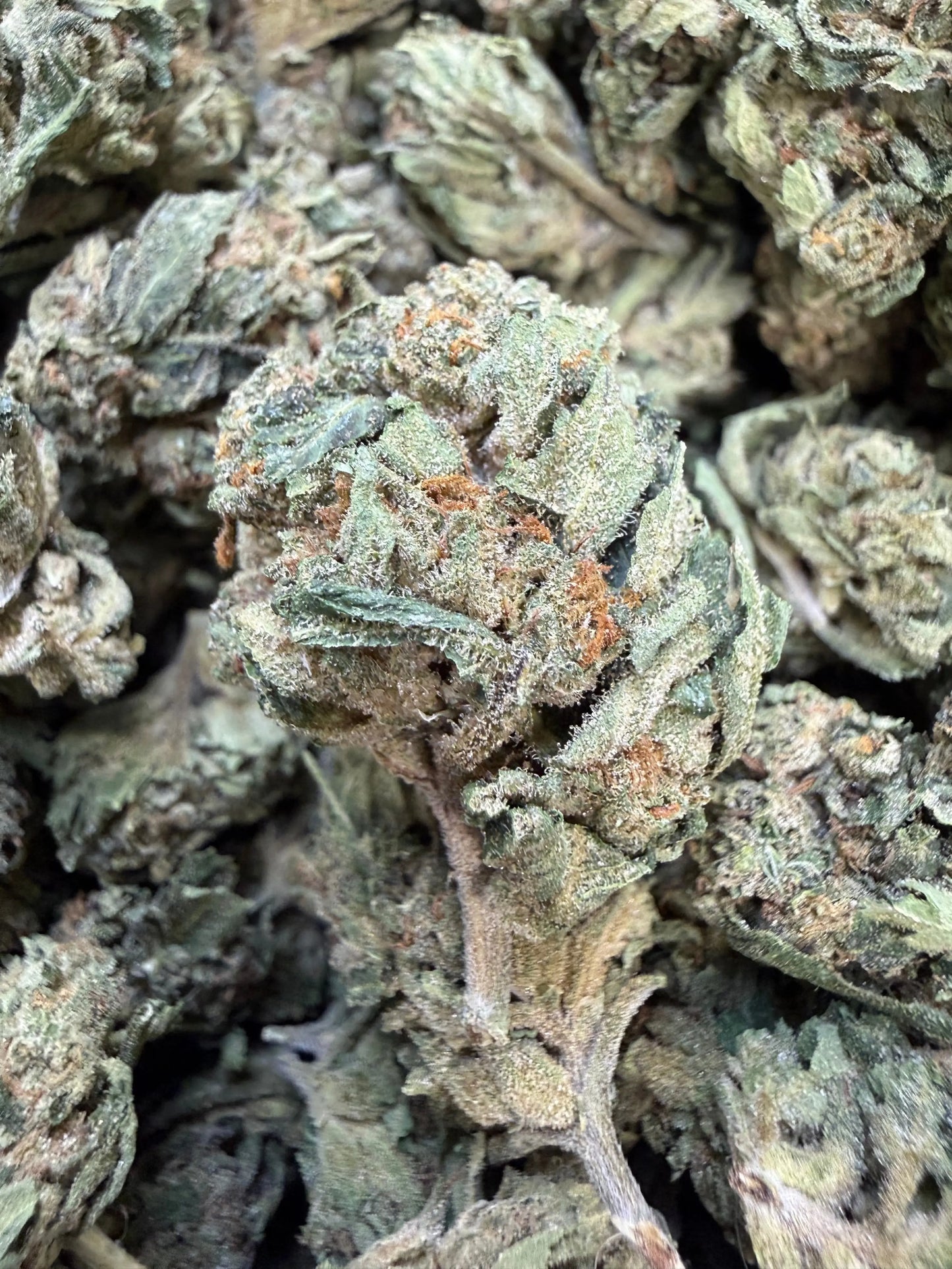 1 Pound Lemon Curd THCA FL Fulfillment Center