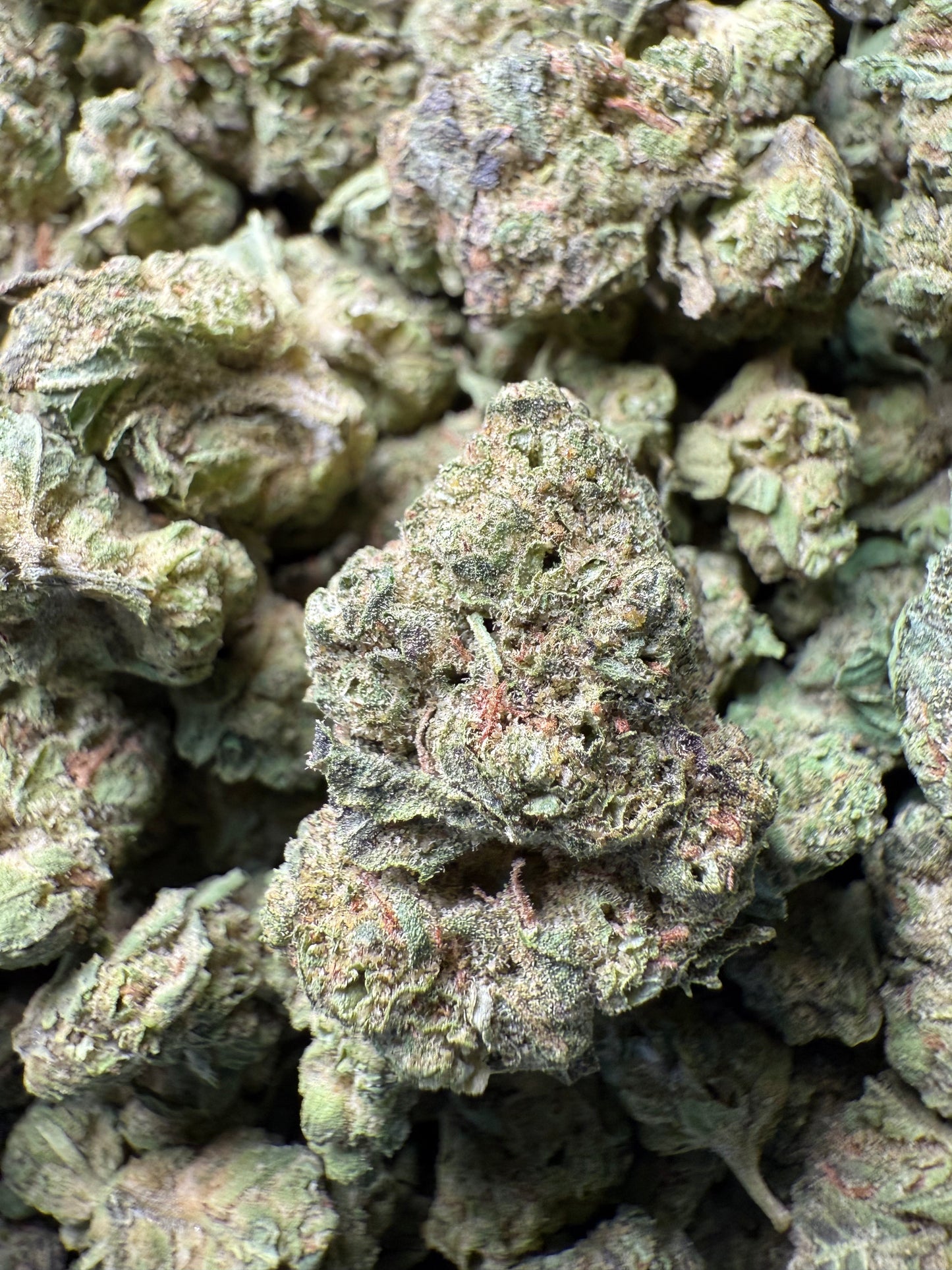 1 Pound - Double Burger THCA Strain (Small) Frisco Labs