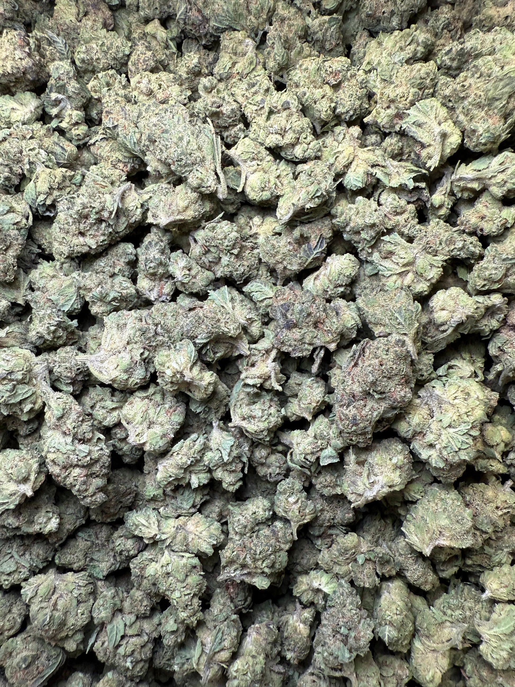 1 Pound - Double Burger THCA Strain (Small) Frisco Labs