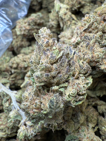 1 Pound - Mac n' Cookies THCA Strain FL Fulfillment Center