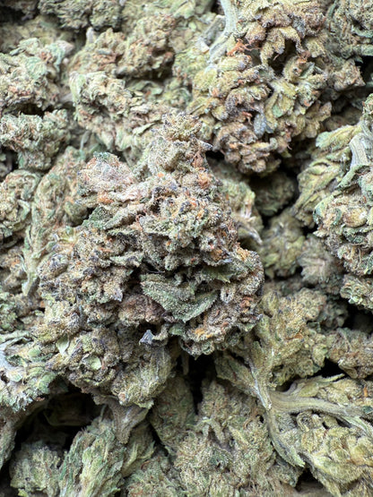 1 Pound - Mac n' Cookies THCA Strain FL Fulfillment Center