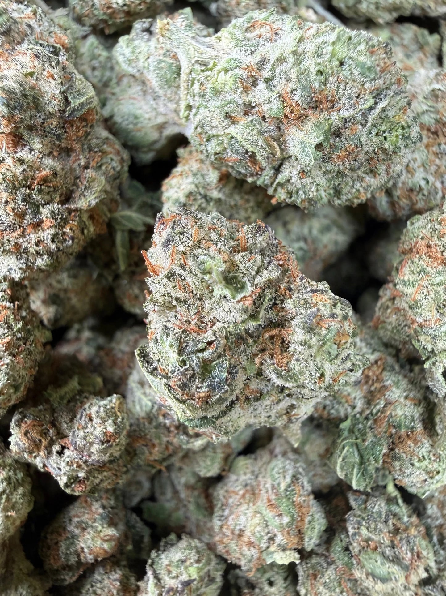 1 Pound - Mango Tango THCA Strain (Smalls) Frisco Labs