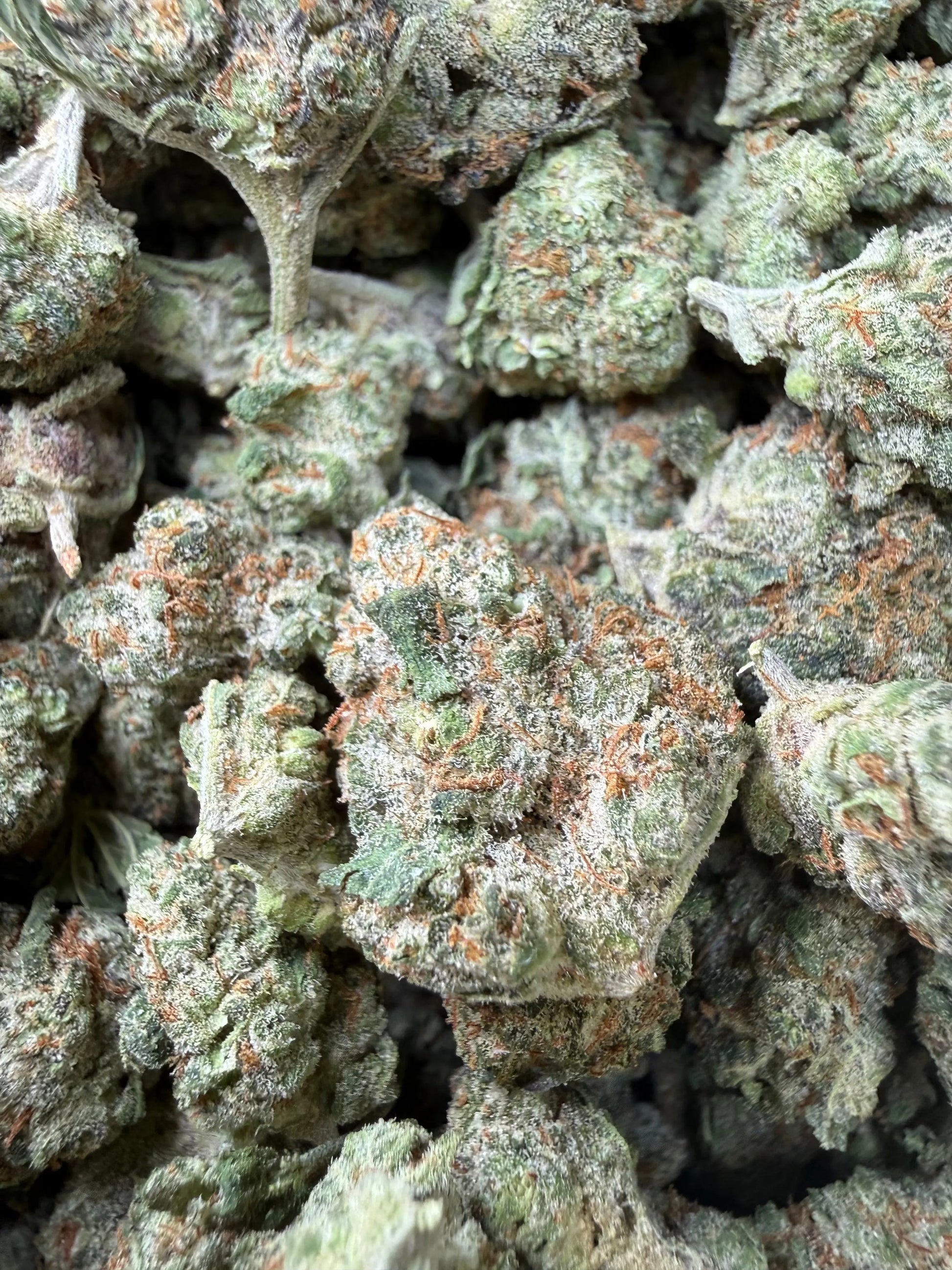 1 Pound - Mango Tango THCA Strain (Smalls) Frisco Labs