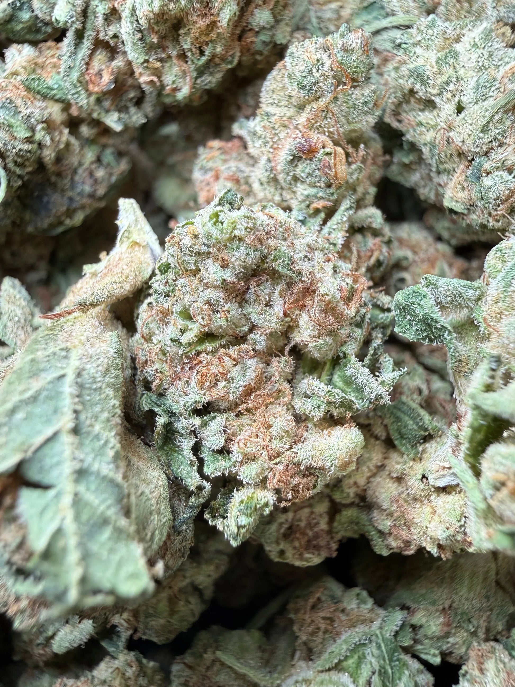 1 Pound -  Melted Banana Berry Strain Frisco Labs