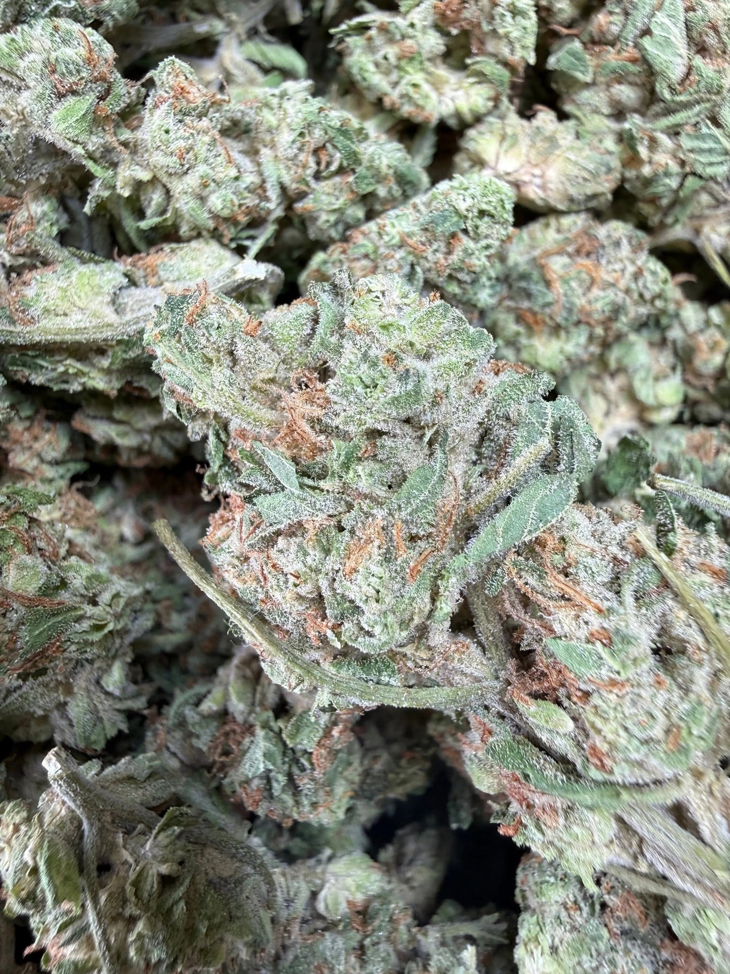 1 Pound -  Midnight Fuel THCA Strain Frisco Labs