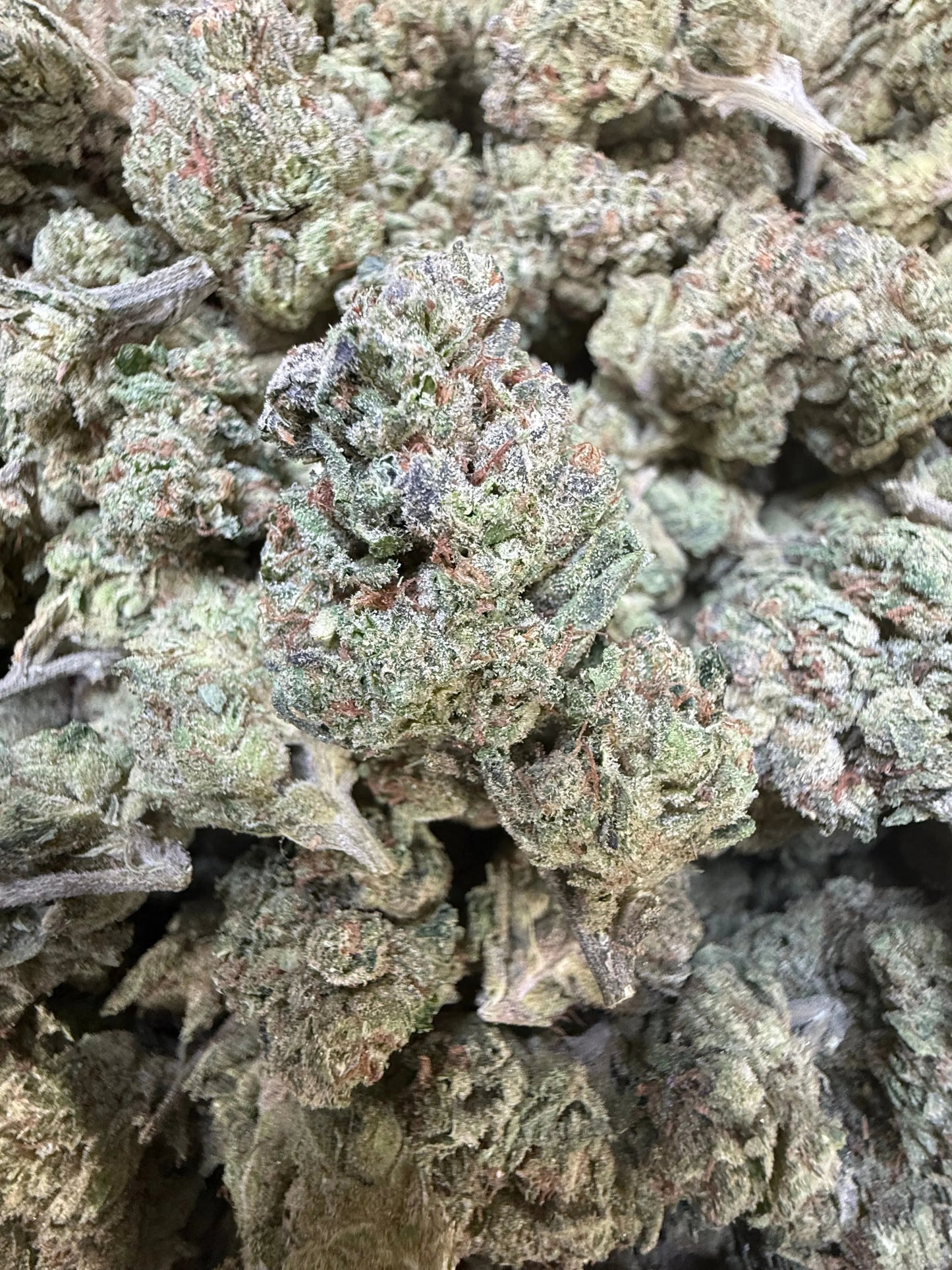 1 Pound - Modmintz THCA Strain Frisco Labs