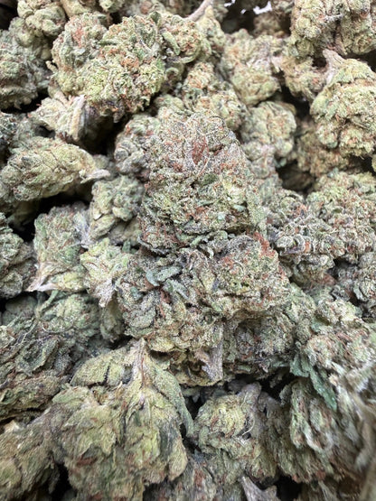 1 Pound - Modmintz THCA Strain Frisco Labs