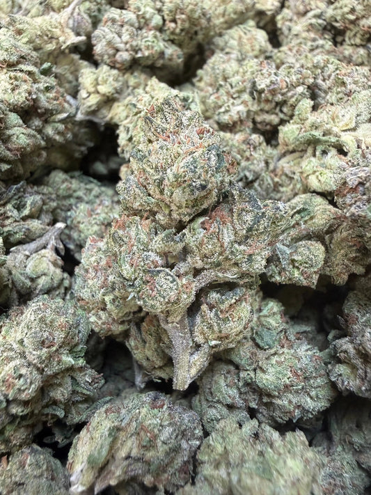 1 Pound - Modmintz THCA Strain Frisco Labs
