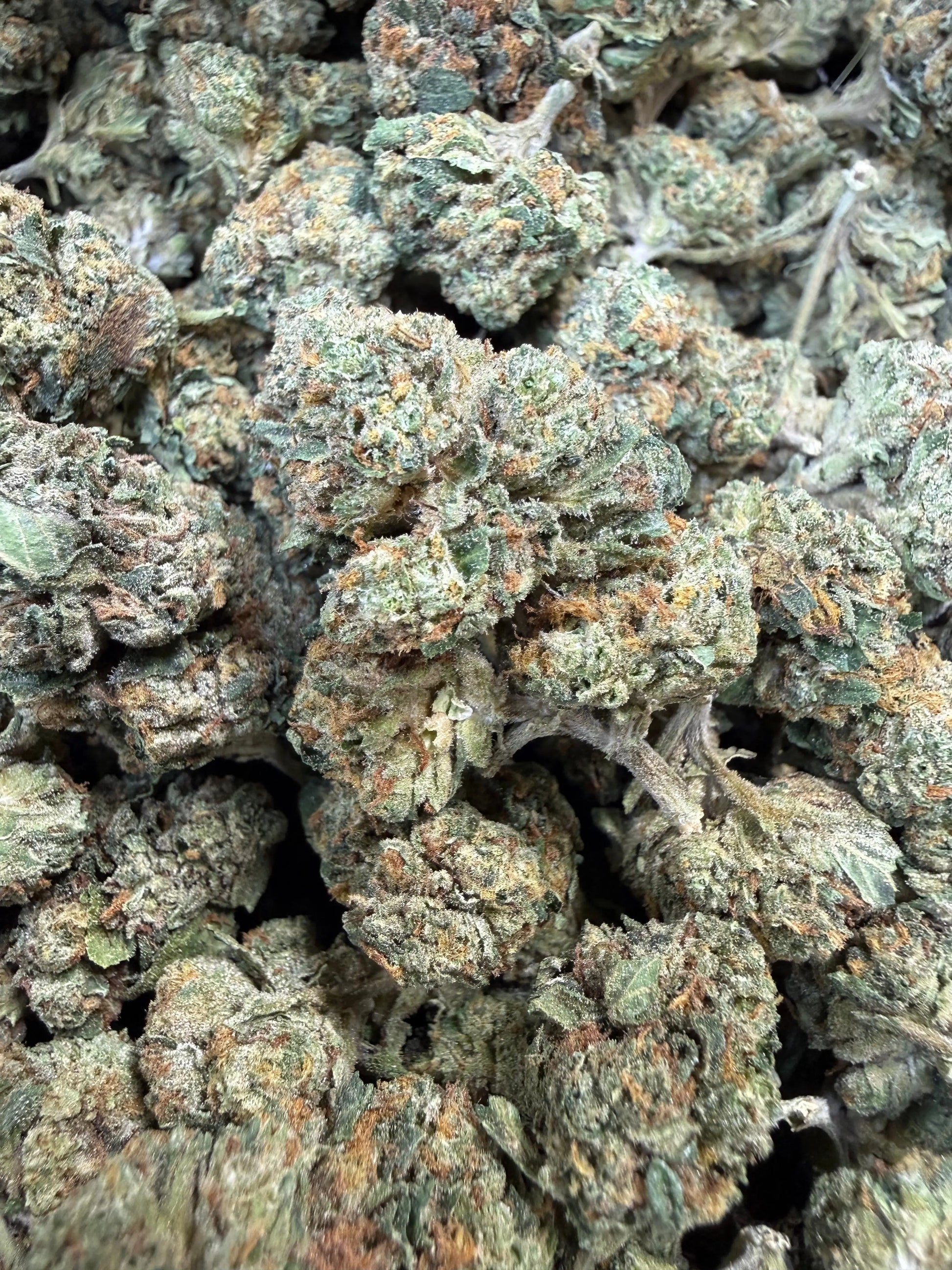 1 Pound - Obama Runtz THCA Strain Frisco Labs