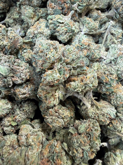 1 Pound - Obama Runtz THCA Strain Frisco Labs