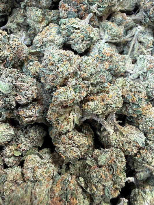1 Pound - Obama Runtz THCA Strain Frisco Labs